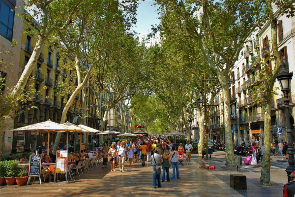 Las Ramblas: Donde la Ciudad Canta y Llora